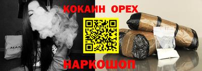гашик Моздок
