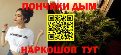 гашик Моздок
