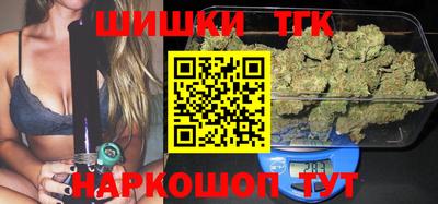 гашик Моздок