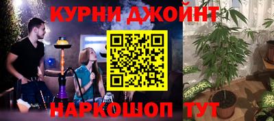 PSILOCYBIN Можга