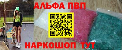 гашик Моздок