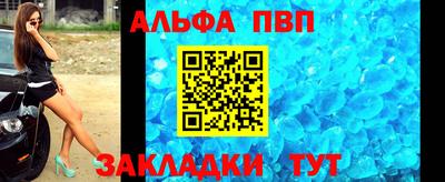 гашик Моздок