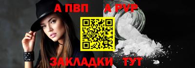 PSILOCYBIN Можга